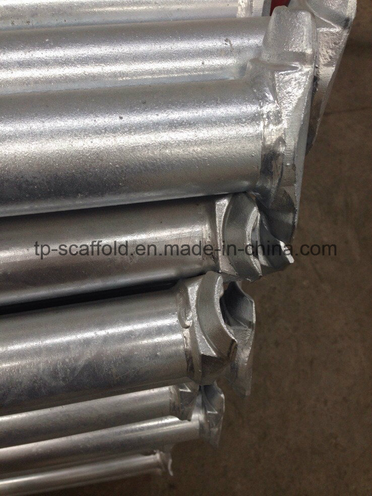 Material de construção galvanizado por imersão a quente aço cuplock andaime ledger/horizontal